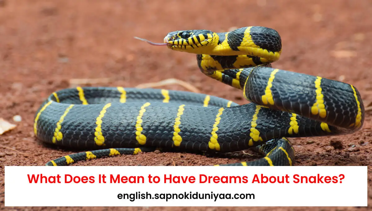 What Does It Mean to Have Dreams About Snakes