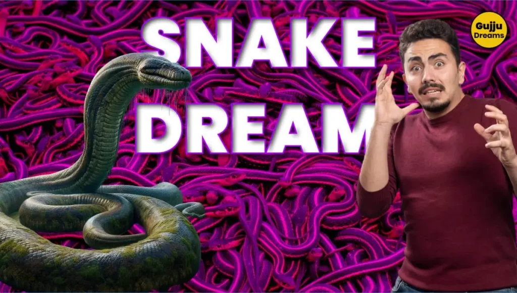 Snake Dream: What Does It Mean to Have Dreams About Snakes?