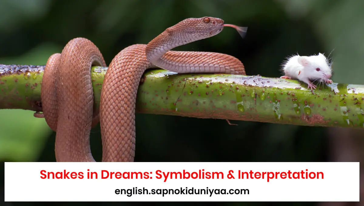 Snakes in Dreams: Symbolism, Interpretation, and Meaning