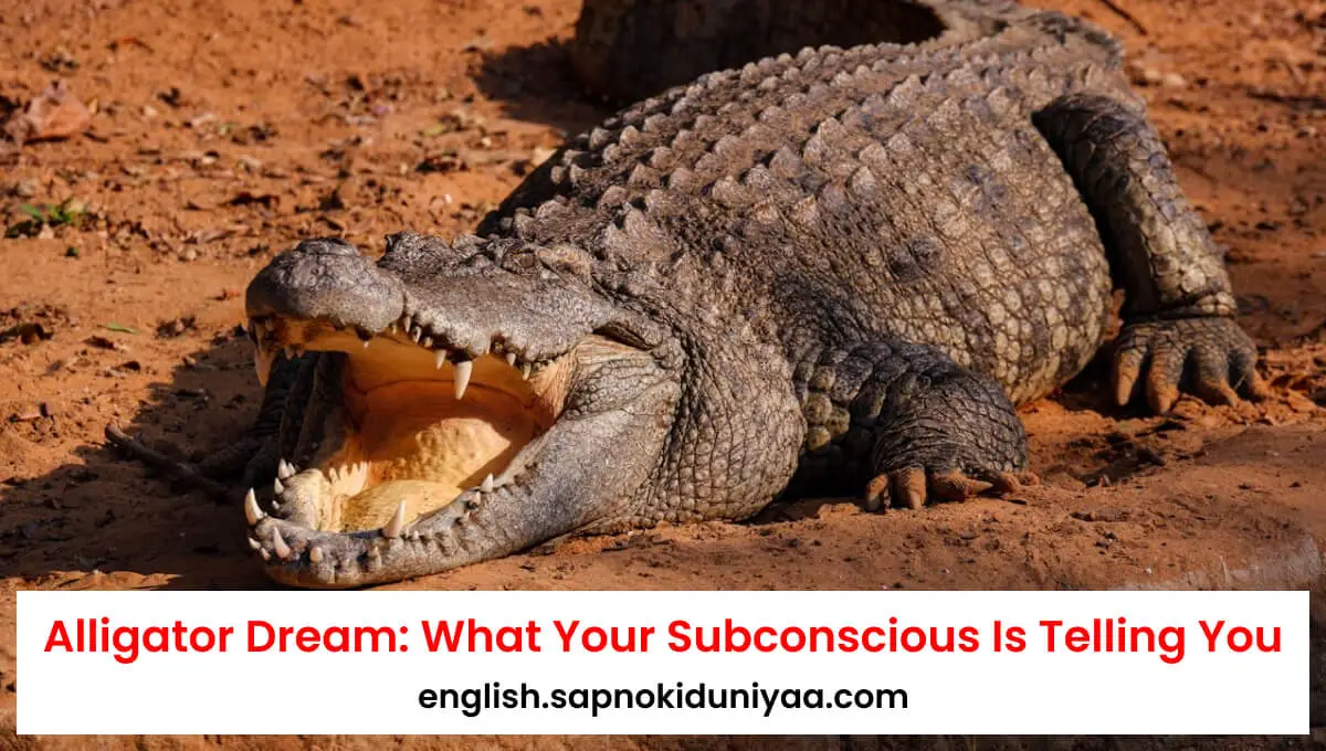 Alligator Dream Meanings: What Your Subconscious Is Telling You