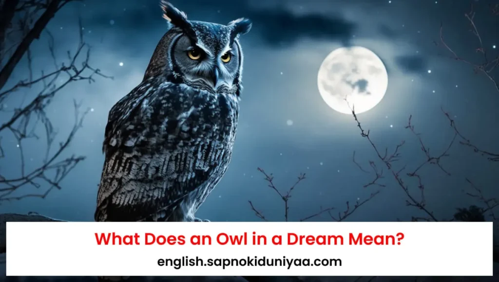 What Does It Mean to Dream About Owls